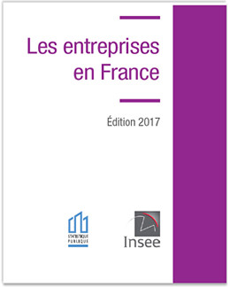 Insee Entreprises 2017